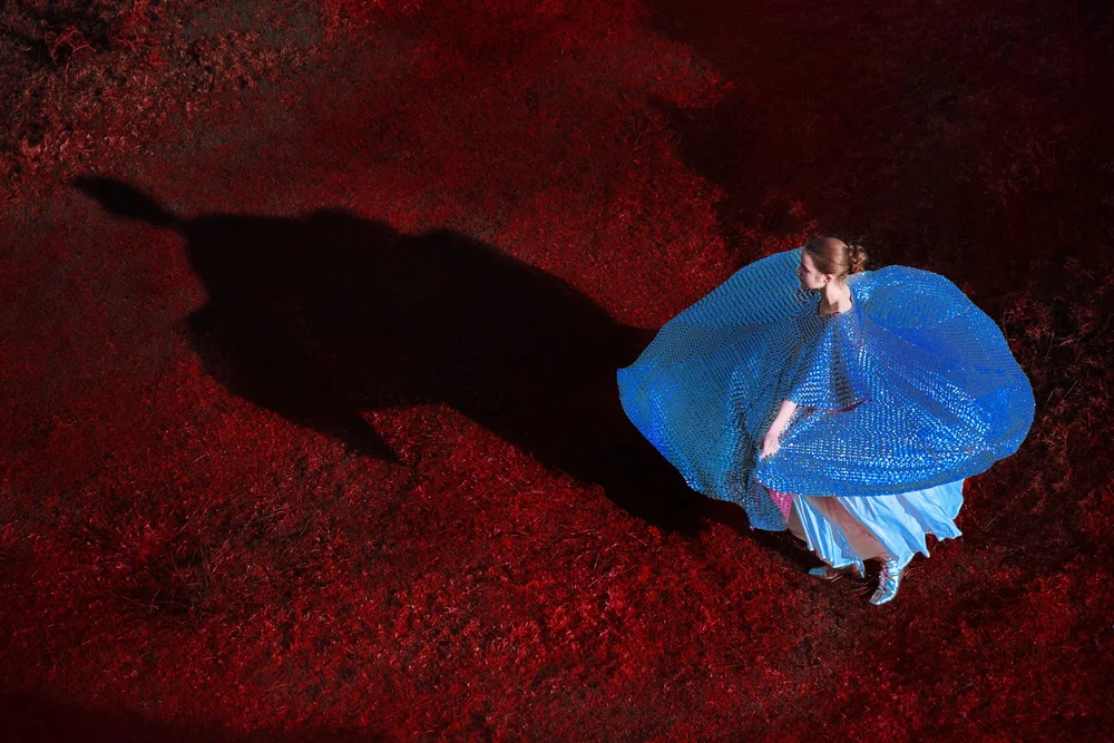 Book Review: The Tapestry by Erik Madigan Heck | Thames & Hudson